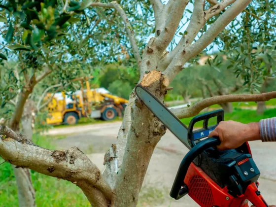 Untitled design (70)