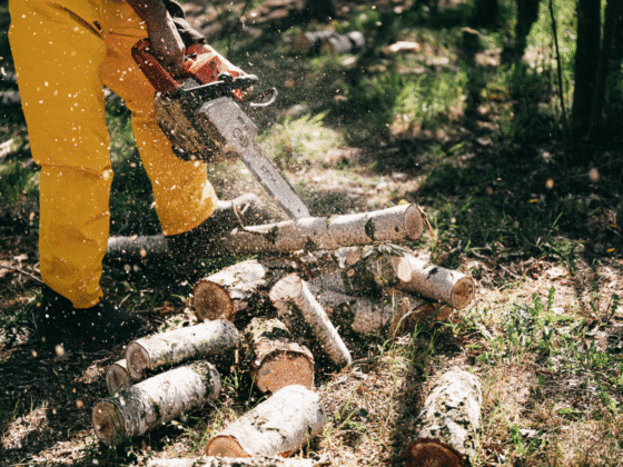 Untitled design (49)