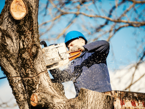 Untitled design (50)