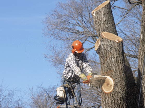 Untitled design (51)