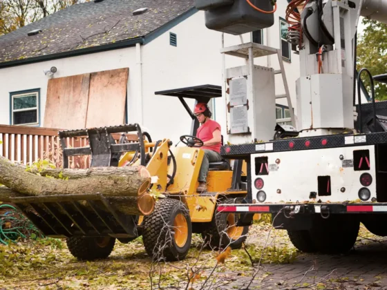 Untitled design (71)