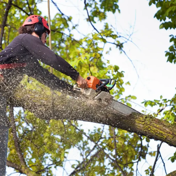 Untitled design (71)