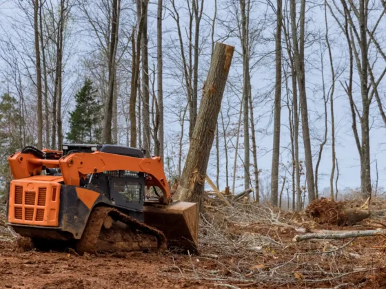 Untitled design (72)