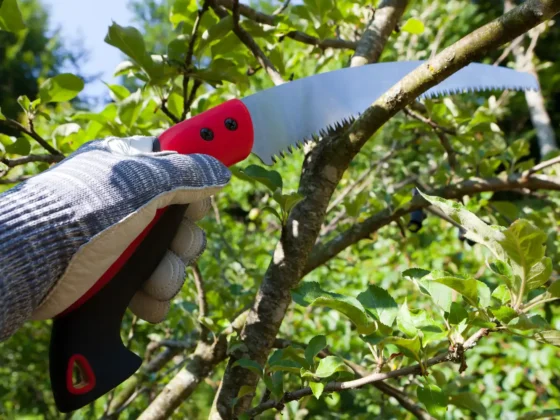 Untitled design (72)