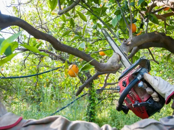 Untitled design (73)