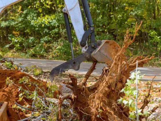 Untitled design (74)