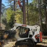 Tree Cutting Operation