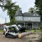 Tree Removal Equipment