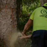 Tree Cutting Worker